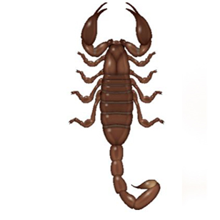 Adana akrep ilaçlama